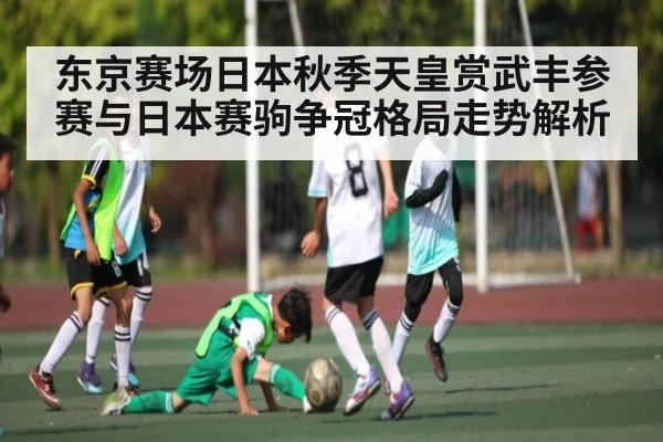 东京赛场日本秋季天皇赏武丰参赛与日本赛驹争冠格局走势解析（kaiyun）